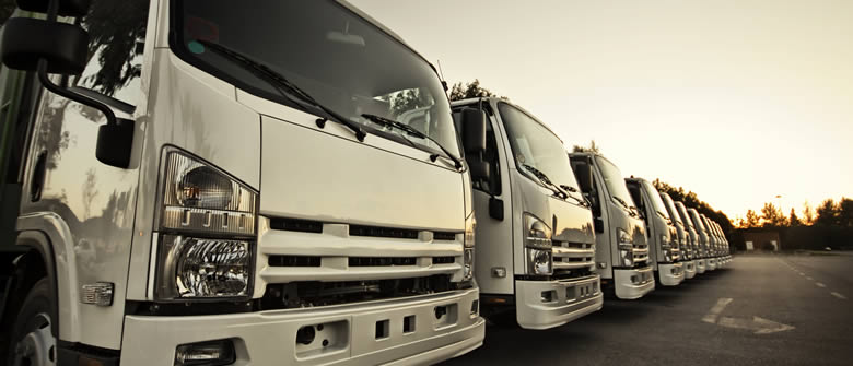 land_transport